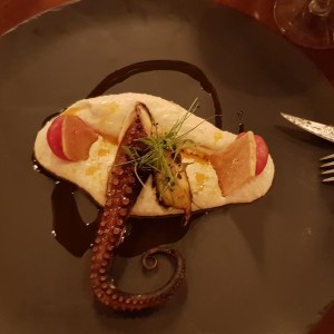 Pulpo 5inco