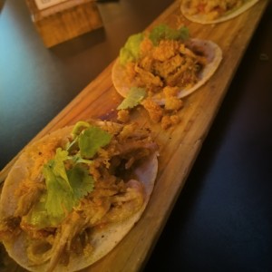 TAQUITOS DE CARNITA (3U)