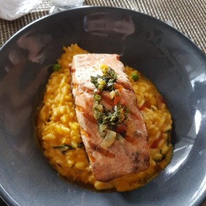 Risotto de Salmon 