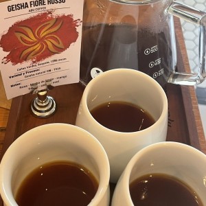 Geisha lavado natural Abu Coffee