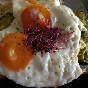 Tostadas con guacamole y huevo