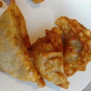 Empanadas Chinas