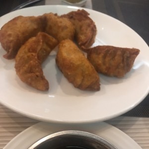 empanaditas chinas