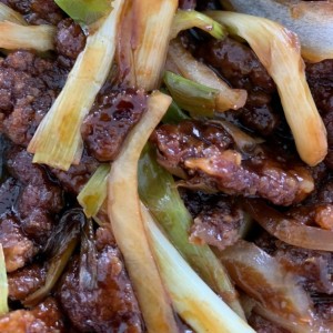 ESTILO MONGOLIAN DE CARNE