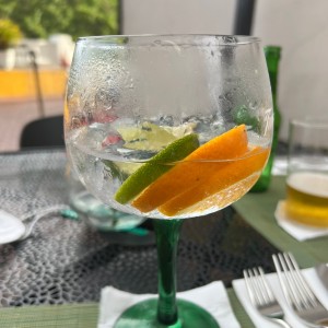 Ginebra con naranja y limon 