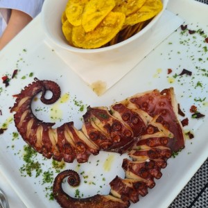 Pulpo Grillado sobre Lecho de Garbanzos