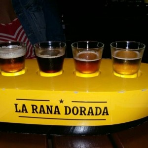 degustacion de cervezas