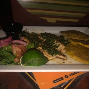 Pescado en salsa chimichurri