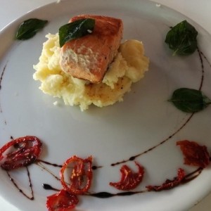 Salmon