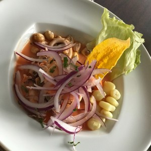 Ceviche de Mariscos