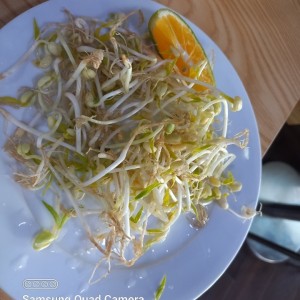 bean sprouts para la sopa pho 