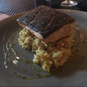 Salmon & Risotto