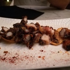 pulpo mediterraneo