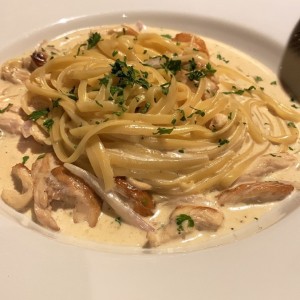 Pasta de pollo con crema blanca