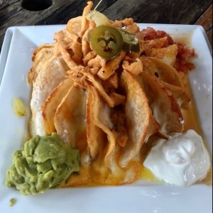 Nachos de pollo