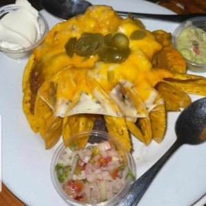 nachos de carne