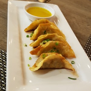 Gyozas de Pollo y Vegetales