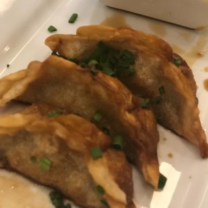 Gyozas de Pollo