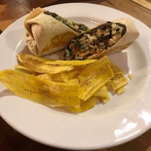 Chicken Wrap