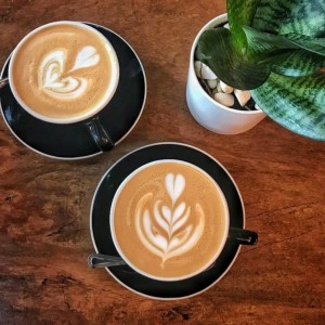 Cappuccinos