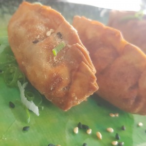 GYOZAS DE WAGYU