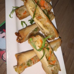 Entradas - Spring Rolls