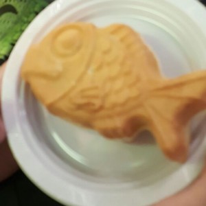 Taiyaki