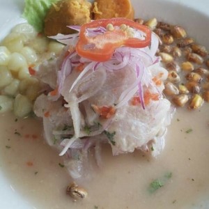 ceviche corvina 