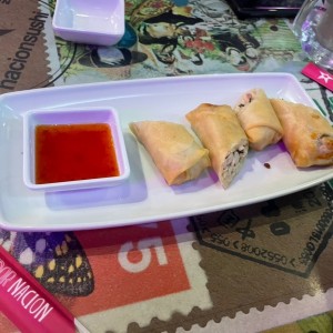 Spring Roll de Pollo