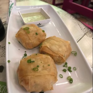 deliciosas de salmon 