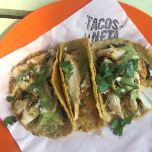 Tacos de tinga de pollo