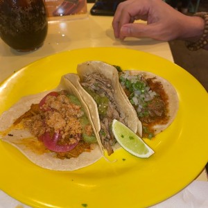 Tacos Tropicales - Panza