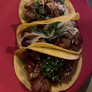 Tacos Tropicales - Panza