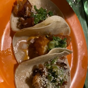 Tacos Tropicales - Panza