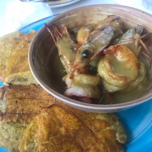 Langostinos con salsa de coco y curry