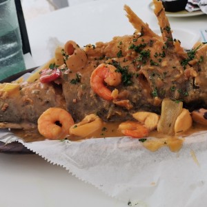 Corvina en salsa de Mariscos ? 