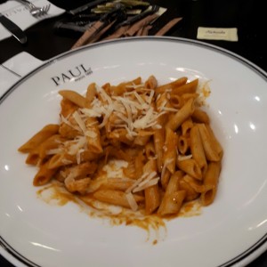 penne pomodoro con pollo