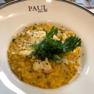 risotto de langosta