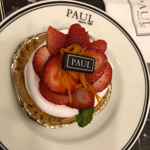 pavlova