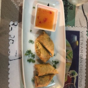 Spring roll de vegetales