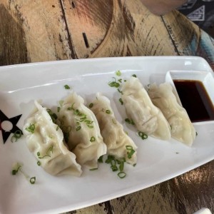 Tentadoras Entradas - Gyozas de Pollo