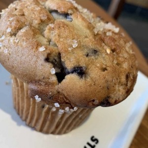 Pastry - Blueberry Muffin