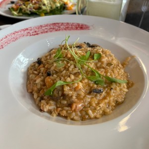 Risotto Funghi e Salmone 