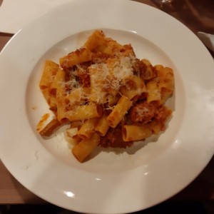 Pasta - Rigatoni Ragu Napoletano