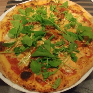 pizza primavera