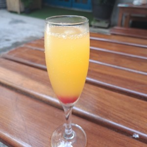 Mimosa 