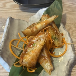 Entradas - Spring Rolls