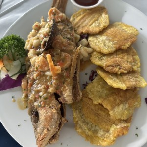 Pargo a la Criolla