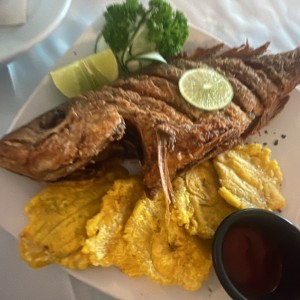 PLATOS FUERTES - Pargo Frito