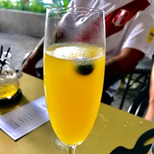 mimosa 